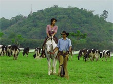 คำอธิบาย: คำอธิบาย: คำอธิบาย: คำอธิบาย: คำอธิบาย: คำอธิบาย: D:\..\..\image\Chokchai farm\ac2.jpg