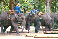 คำอธิบาย: คำอธิบาย: D:\..\..\image\chaingmai\cm-06.gif