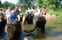 คำอธิบาย: คำอธิบาย: D:\..\..\image\chaingmai\cm-08.gif