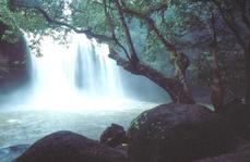 คำอธิบาย: คำอธิบาย: คำอธิบาย: คำอธิบาย: คำอธิบาย: คำอธิบาย: water fall