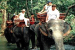 คำอธิบาย: คำอธิบาย: D:\..\..\image\krabi\elephant_trekking.gif