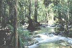 คำอธิบาย: คำอธิบาย: D:\..\..\image\krabi\krabi-01.gif