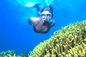 คำอธิบาย: คำอธิบาย: D:\..\..\image\krabi\krabi-07.gif