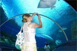 คำอธิบาย: คำอธิบาย: คำอธิบาย: D:\..\..\image\pattaya\waterworld\waterindex.jpg