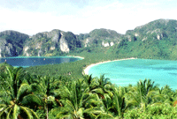 คำอธิบาย: คำอธิบาย: D:\..\..\image\phiphi\phiphi-07.gif