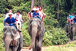 คำอธิบาย: คำอธิบาย: D:\..\..\image\phuket\phuket-06.gif