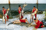 คำอธิบาย: คำอธิบาย: คำอธิบาย: คำอธิบาย: คำอธิบาย: คำอธิบาย: crocodile show