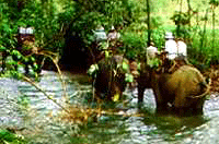 คำอธิบาย: D:\..\..\image\samui\samui-17.gif