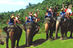 คำอธิบาย: D:\..\..\image\samui\samui-19.gif